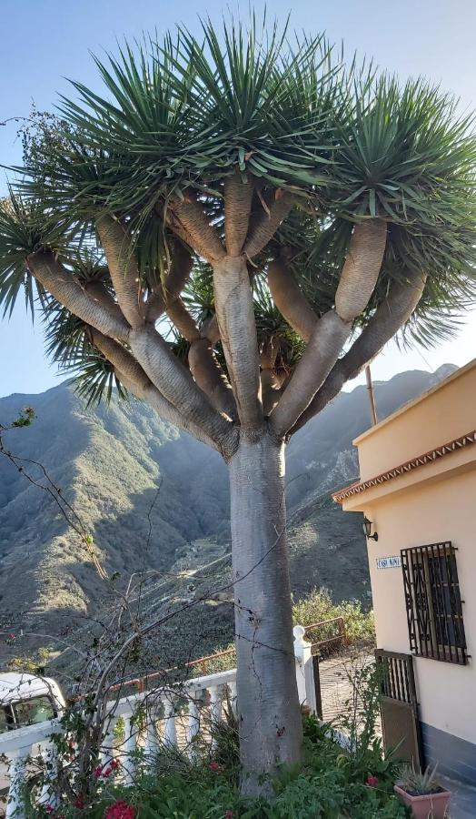 Casa Noni Santa Cruz de Tenerife Exterior foto